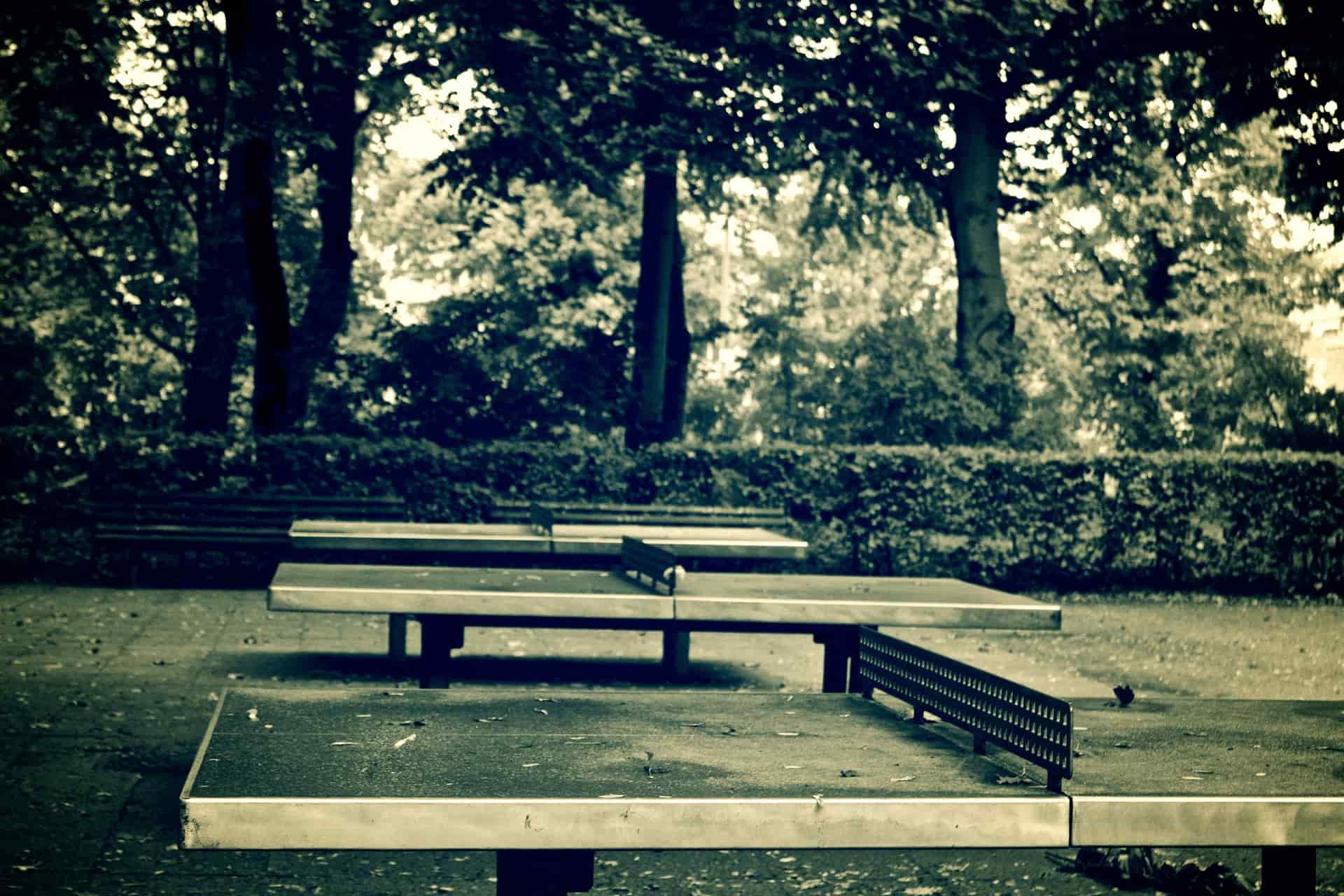 An outdoor table tennis table in a park setting